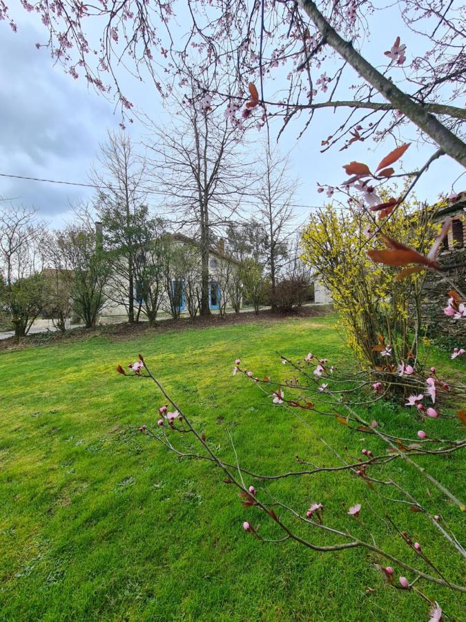 فيلا Le Terrier Maison De Campagne 250 M2 Grande Capacite 20 Couchages, 4500M2 De Terrain Saint-Pierre-du-Chemin المظهر الخارجي الصورة