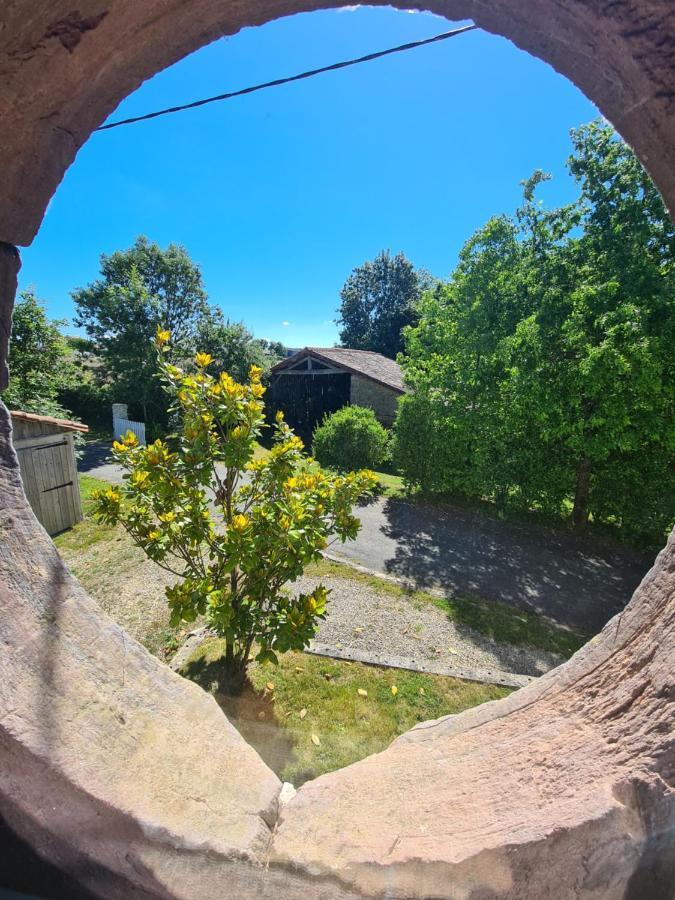 فيلا Le Terrier Maison De Campagne 250 M2 Grande Capacite 20 Couchages, 4500M2 De Terrain Saint-Pierre-du-Chemin المظهر الخارجي الصورة